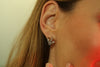 Horn Earrings