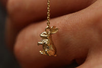 The Bunny