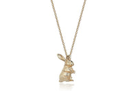 The Bunny