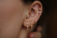 Zigi Zaga Earrings