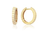 Zigi Zaga Earrings