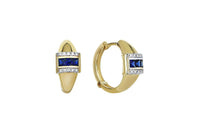 Navy Earrings