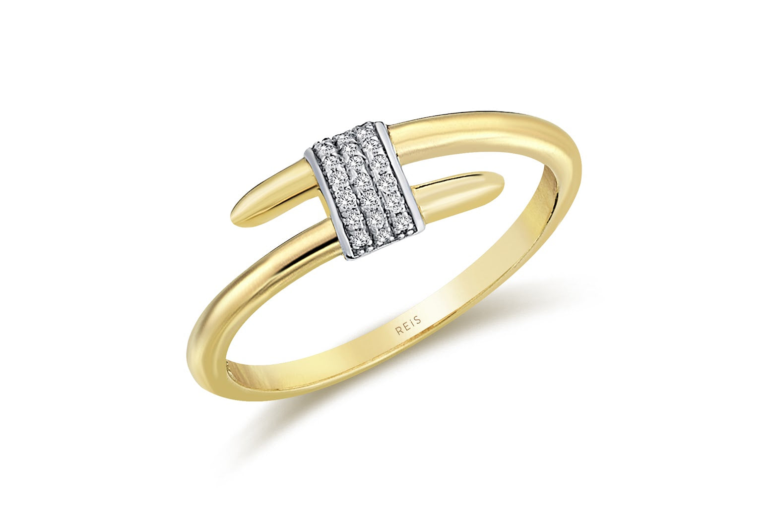 Segmented Ring