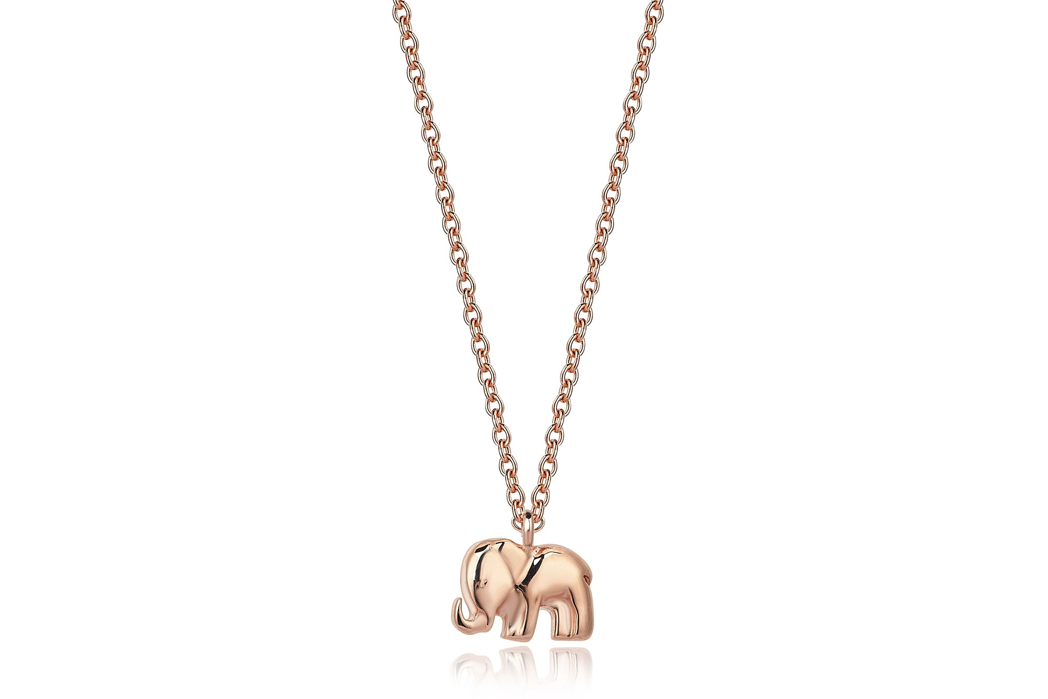 Filler ve Çimen Kolye