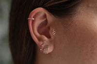 Yılan Tragus