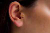 Yılan Tragus