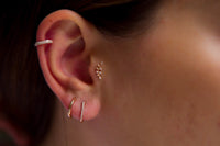 Dal Pırlanta Tragus