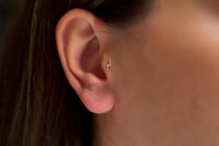Şimşek Tragus
