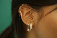 Şimşek Tragus