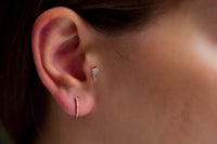 Palmiye Tragus