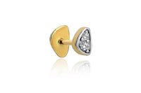 Track Tragus