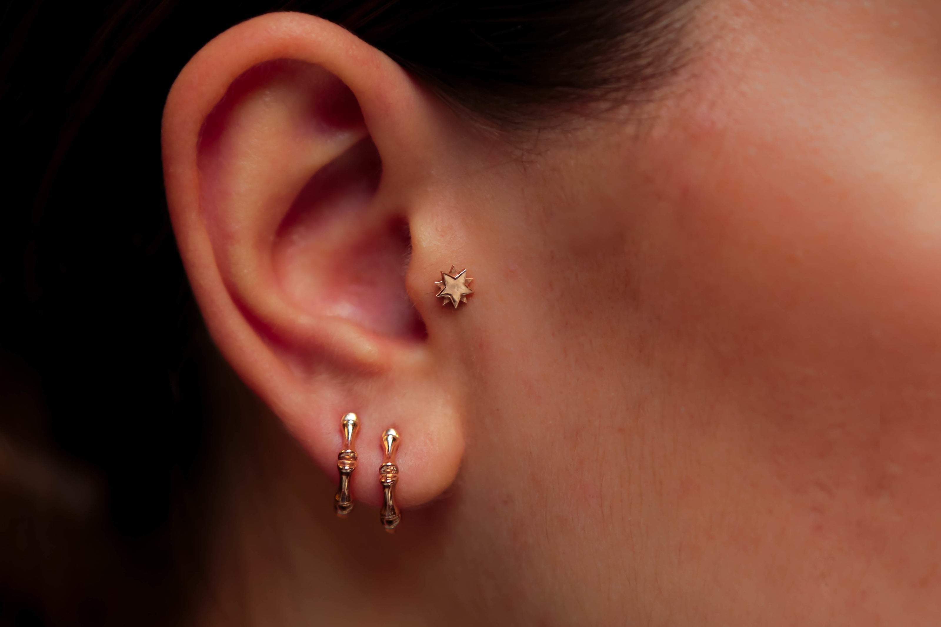 Kutup Yıldızı Tragus