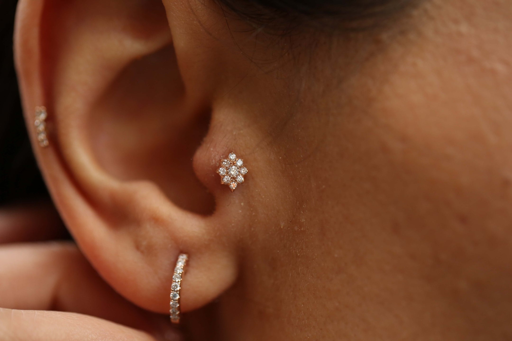 Cemre Tragus