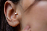 Fil Tragus