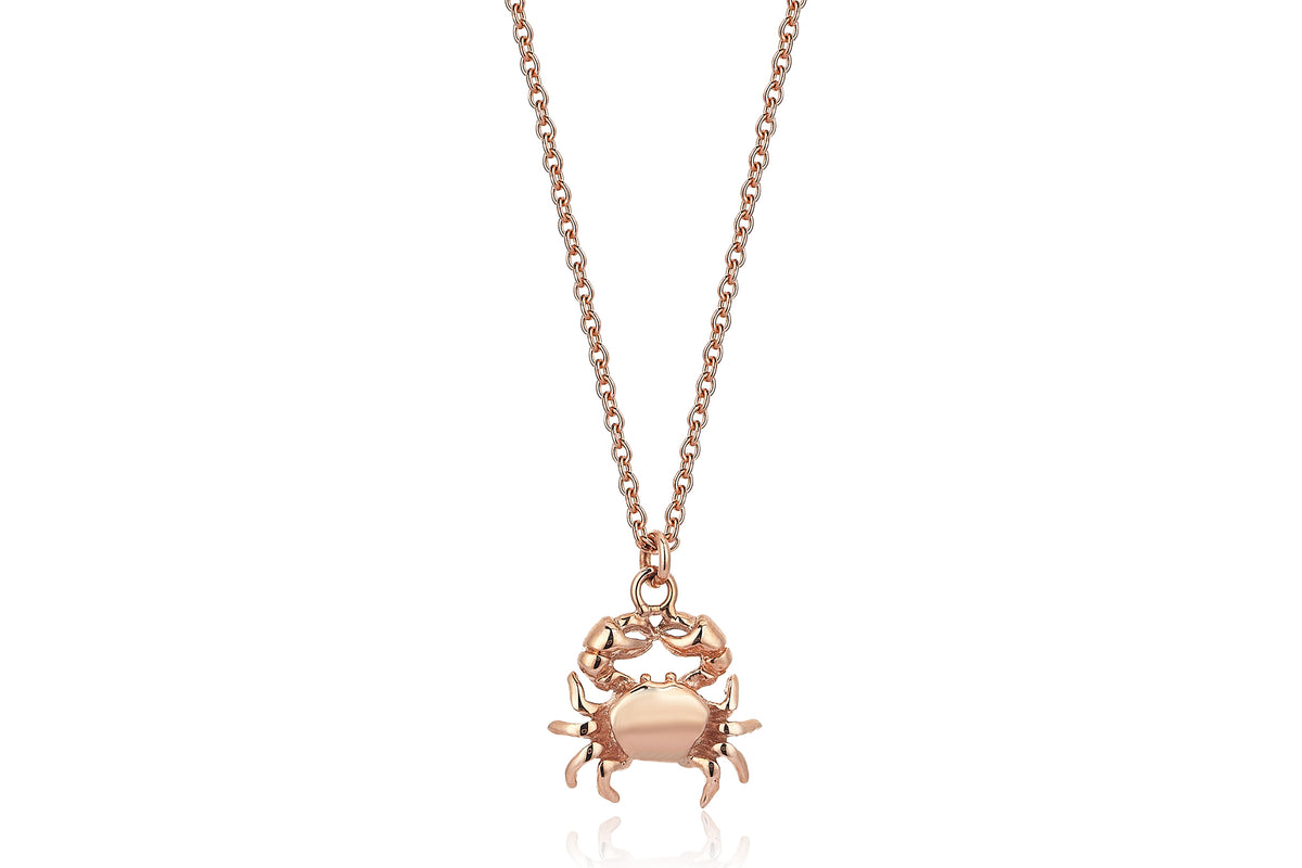 The Crab