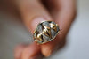 Bold Cognac Ring