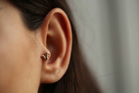 Sincap Tragus