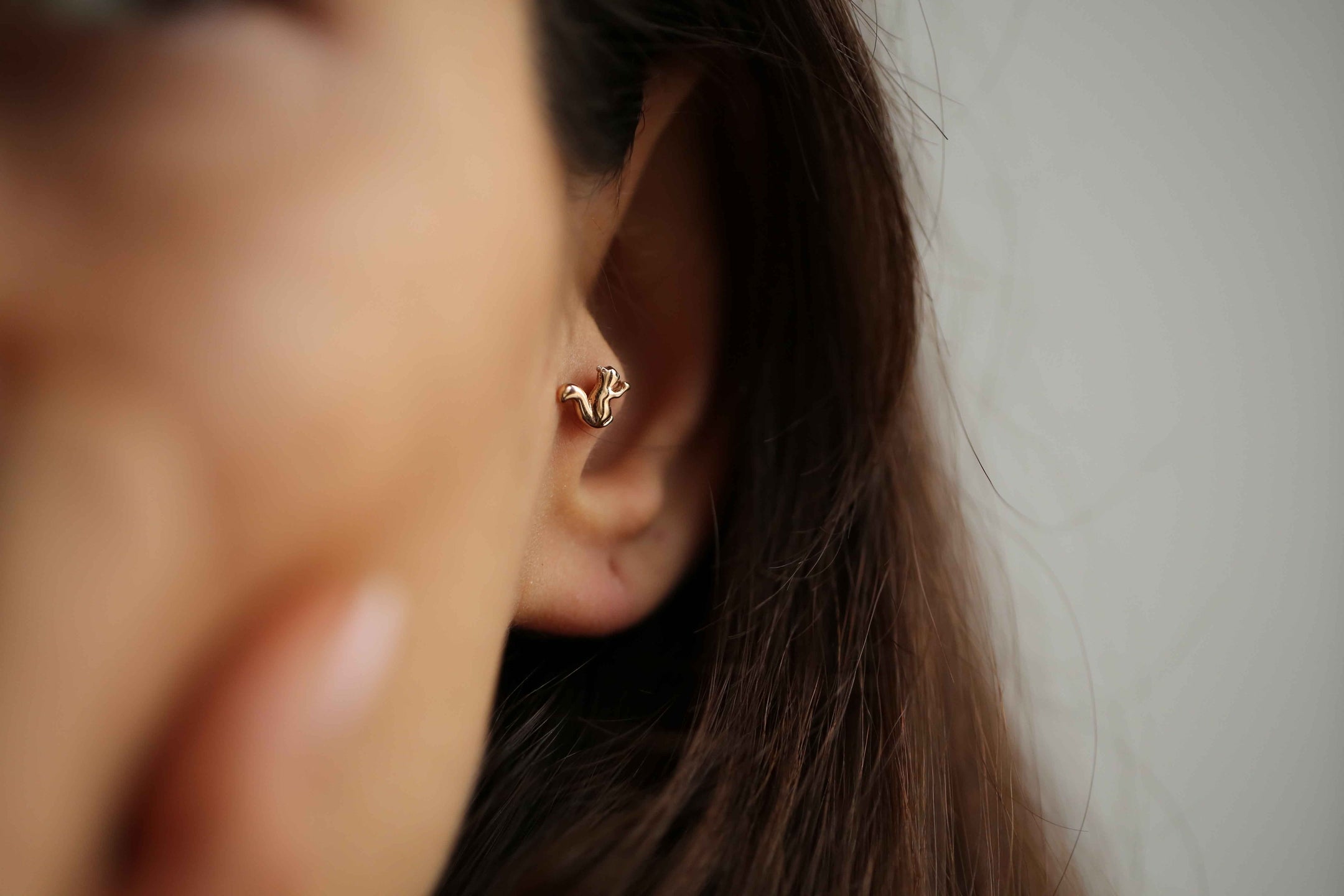 Sincap Tragus