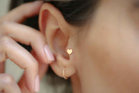Kalp Tragus