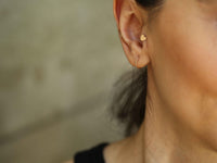Kalp Tragus