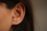Tek Taş Tragus