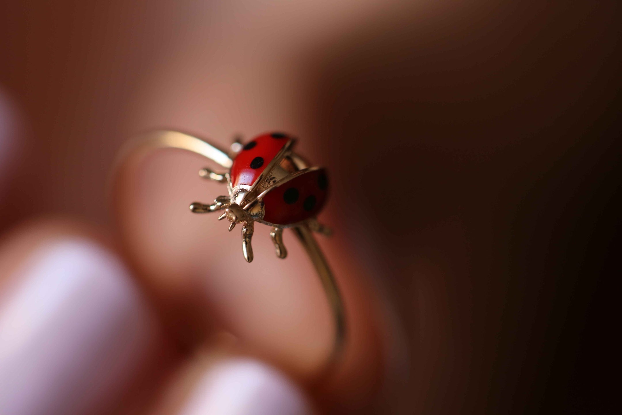 Uç Uç Böceği Yüzük