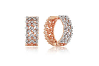 Loure Shine Earrings