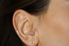Tria Tragus