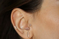 Tria Tragus