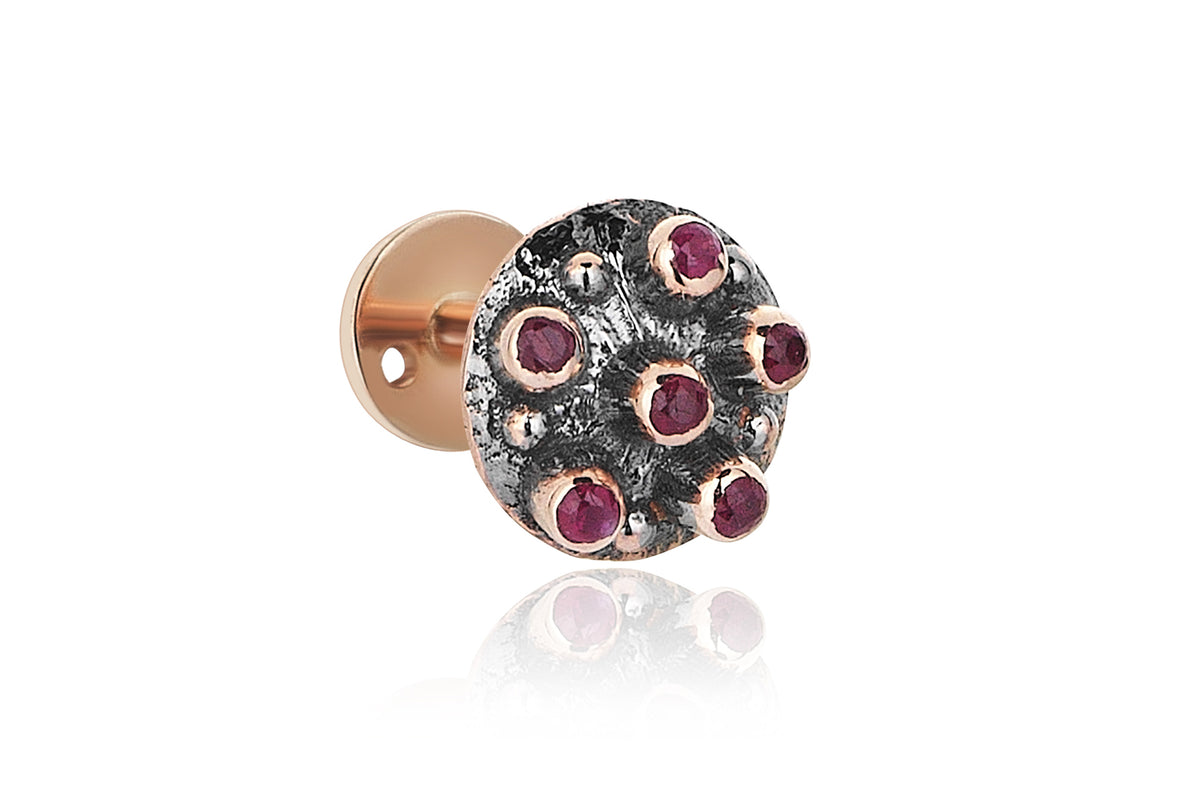 Lup Ruby Tragus
