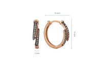 Claw Brown Earrings