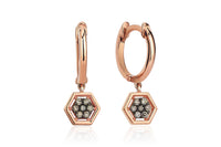 Hexa Brown
