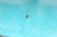 Flipper